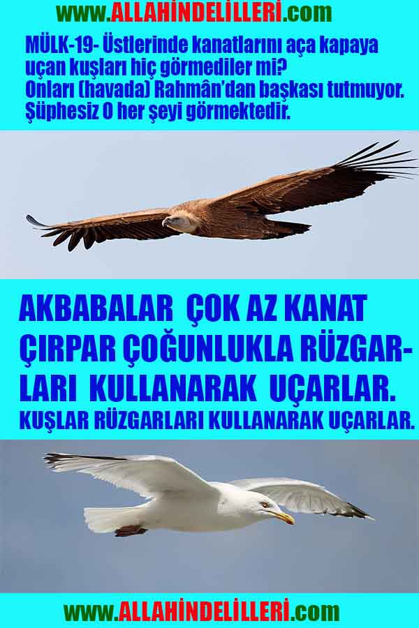Proofs and Evidences of God, God exists proofs, God is real proofs and evidences, Proofs of God's existance