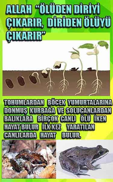 Proofs and Evidences of God, God exists proofs, God is real proofs and evidences, Proofs of God's existance