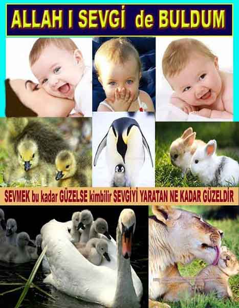 Proofs and Evidences of God, God exists proofs, God is real proofs and evidences, Proofs of God's existance