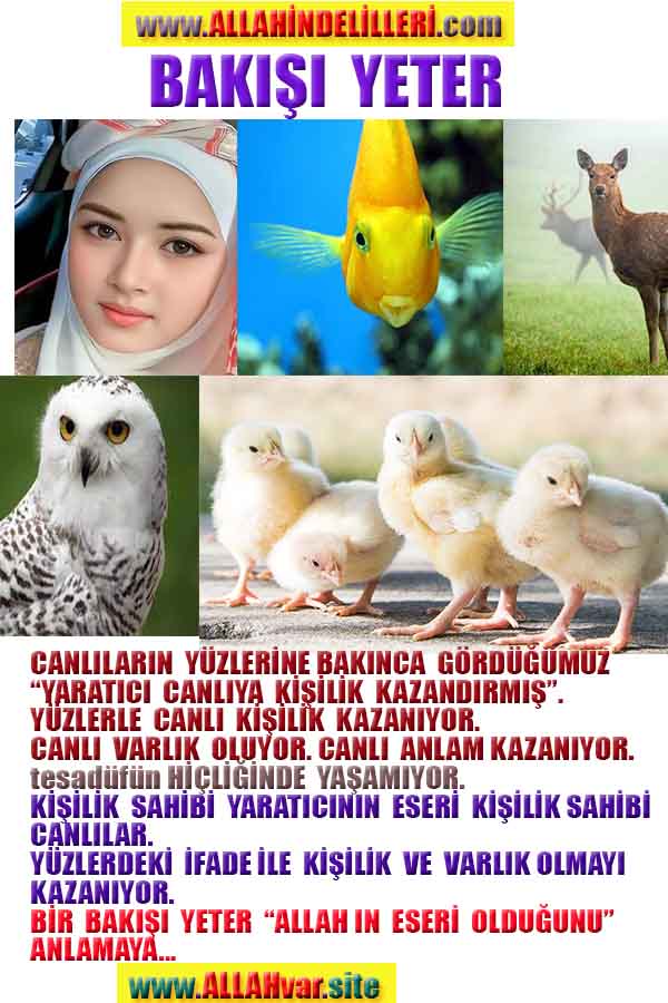 Proofs and Evidences of God, God exists proofs, God is real proofs and evidences, Proofs of God's existance