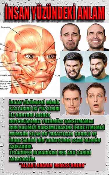 Proofs and Evidences of God, God exists proofs, God is real proofs and evidences, Proofs of God's existance