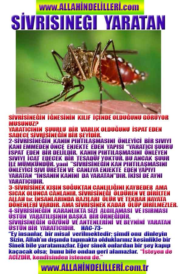 Proofs and Evidences of God, God exists proofs, God is real proofs and evidences, Proofs of God's existance