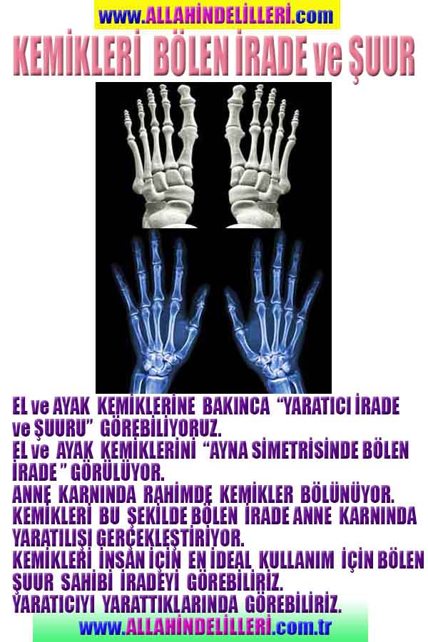 Proofs and Evidences of God, God exists proofs, God is real proofs and evidences, Proofs of God's existance