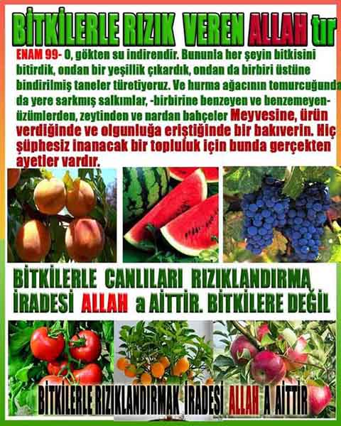 Proofs and Evidences of God, God exists proofs, God is real proofs and evidences, Proofs of God's existance