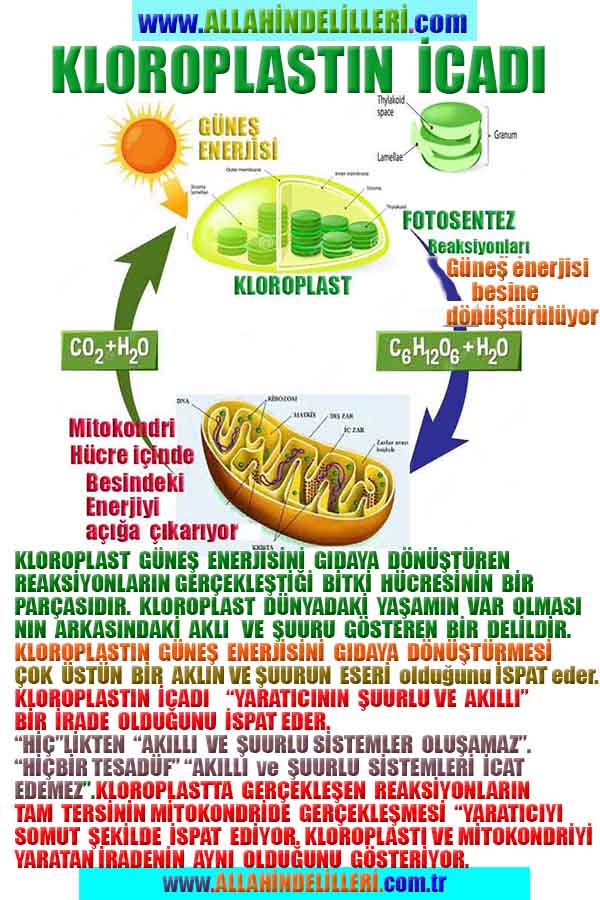 Proofs and Evidences of God, God exists proofs, God is real proofs and evidences, Proofs of God's existance