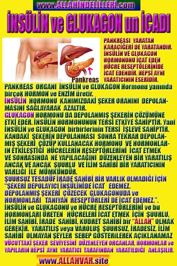 Proofs and Evidences of God, God exists proofs, God is real proofs and evidences, Proofs of God's existance