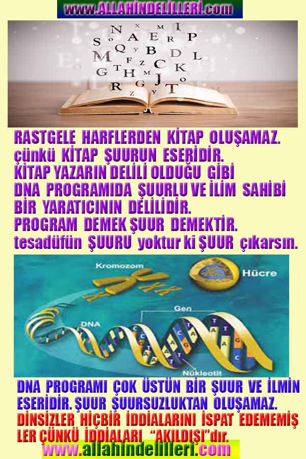 Proofs and Evidences of God, God exists proofs, God is real proofs and evidences, Proofs of God's existance