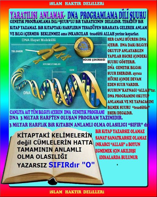 Proofs and Evidences of God, God exists proofs, God is real proofs and evidences, Proofs of God's existance